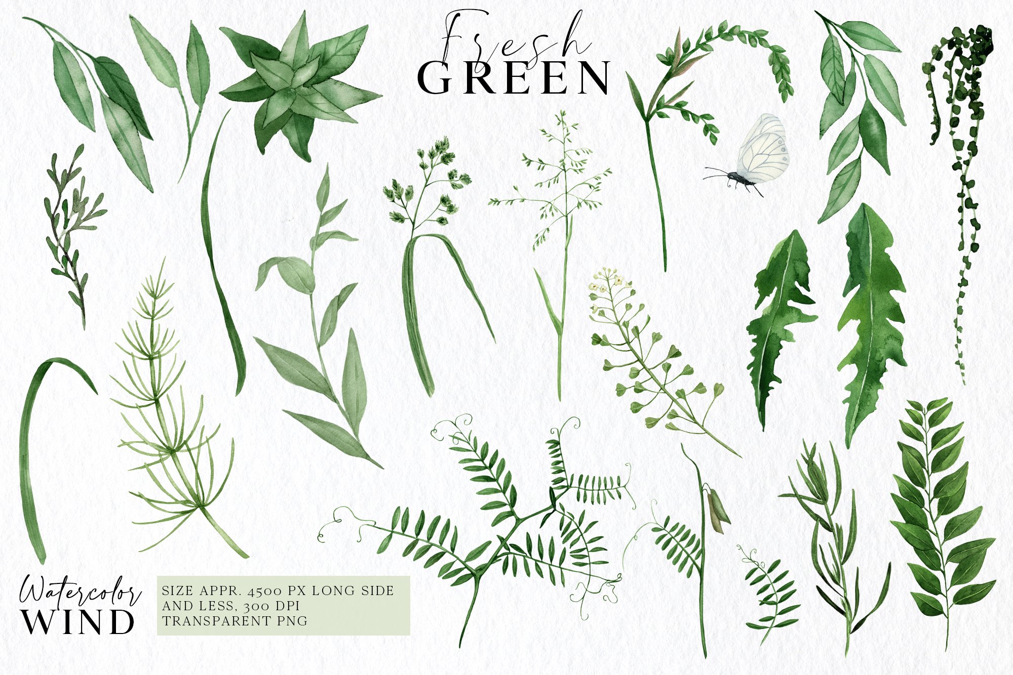 Watercolor Greenery Clipart With Plants Design Cuts