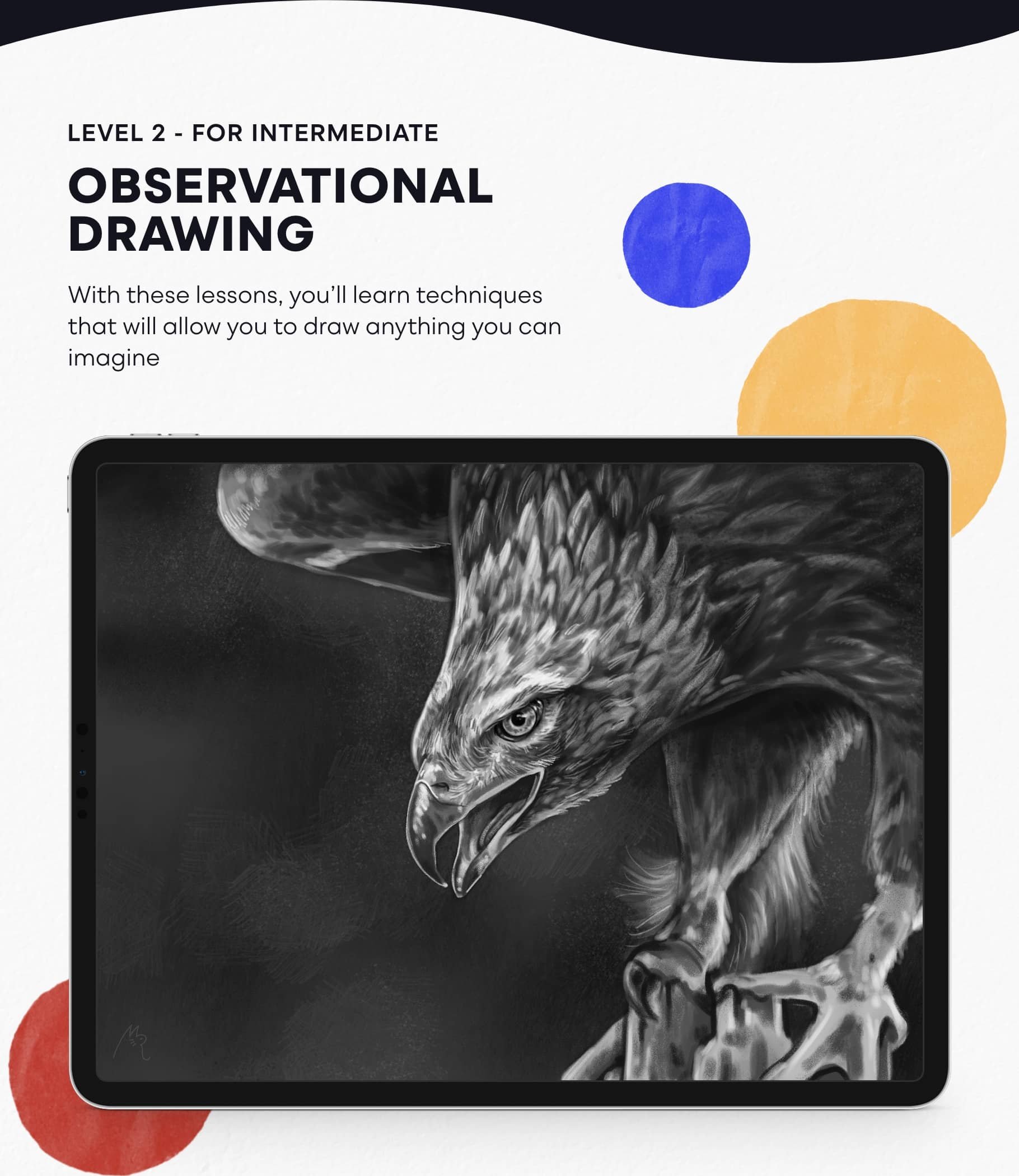 Learn To Draw: A Beginner's Guide To Sketching Anything! - Design Cuts