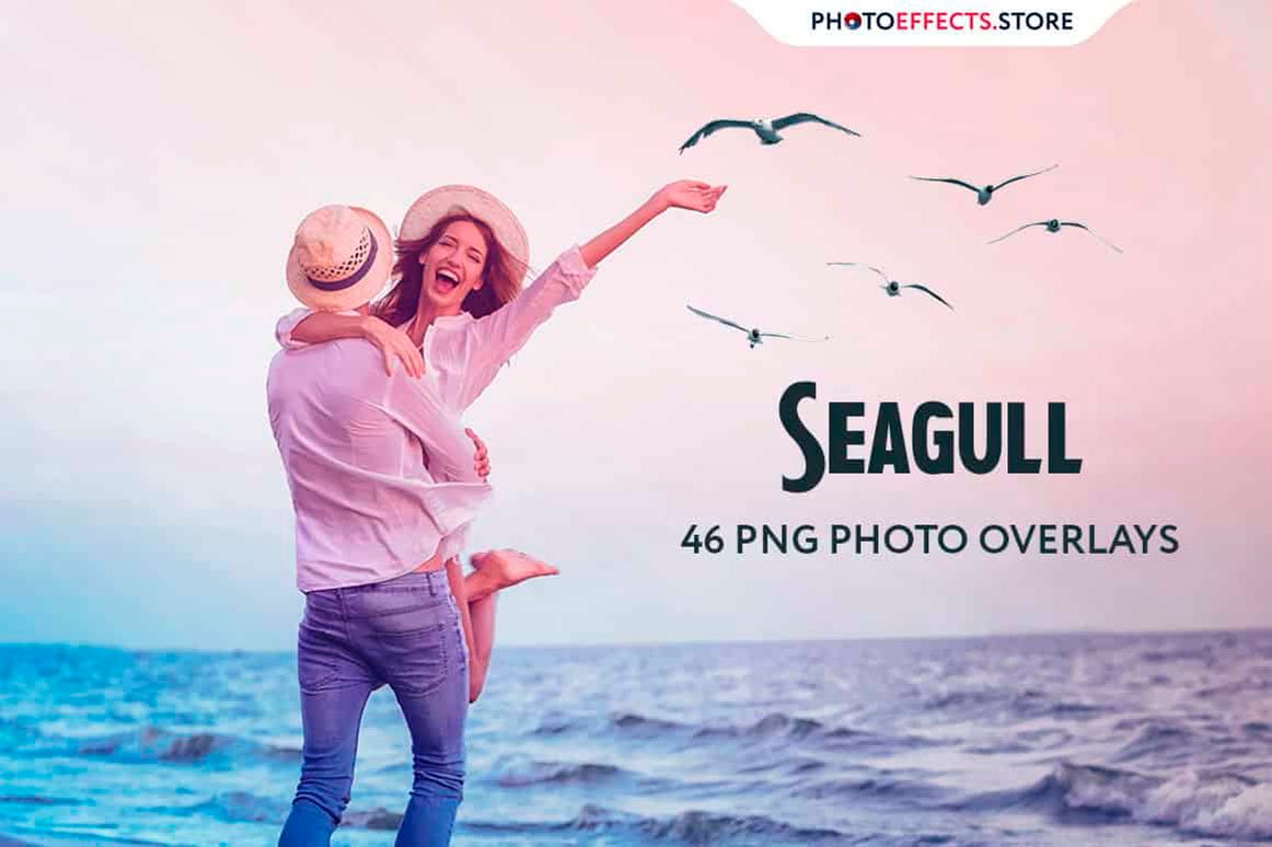 46 Seagull Photo Overlays - Design Cuts