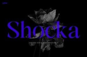 Shocka Family - Variable Serif