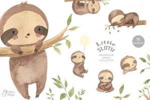 Sloth Clipart Watercolor Animal Illustration