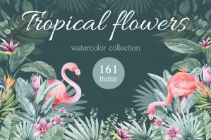 Watercolor Clipart Tropical Flowers