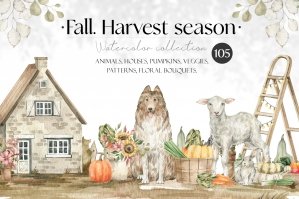 Autumn Harvest Fall Season