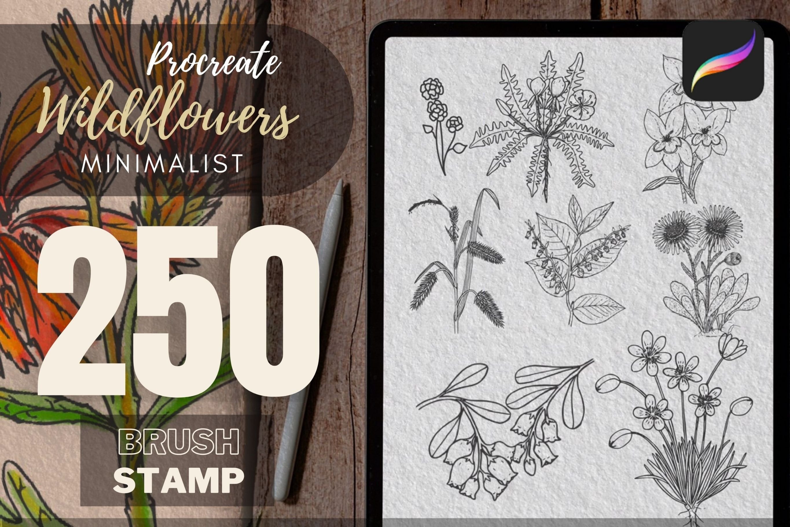 Wildflowers Brush Stamp | Procreate Brush Stamp | Floral Stamp - Design ...