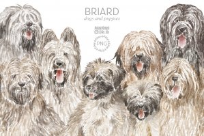 Briard Dog Clipart