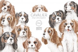 Cavalier Dog Clipart