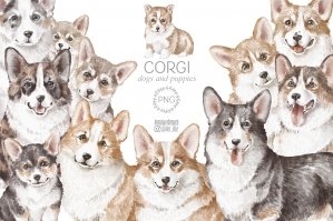 Corgi Dogs Clipart