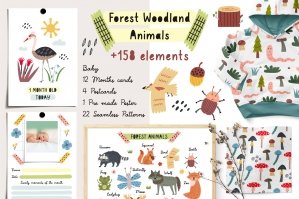 Forest Woodland Animals