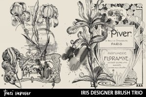 Iris Floral & Ephemera Collage Brush Trio