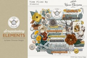 Time Flies By Elements