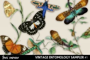 Vintage Entomology Clipart Sampler 1
