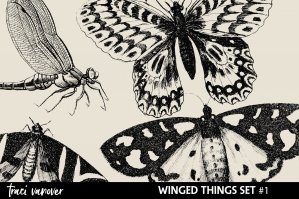Winged Things Overlays & Photoshop Brush