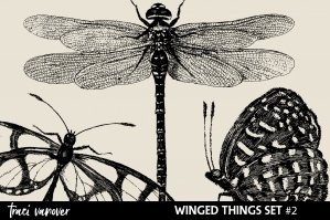 Winged Things Overlays & Photoshop Brush Set 2