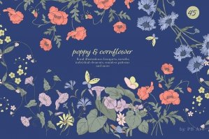 Poppy & Cornflower Clipart & Patterns
