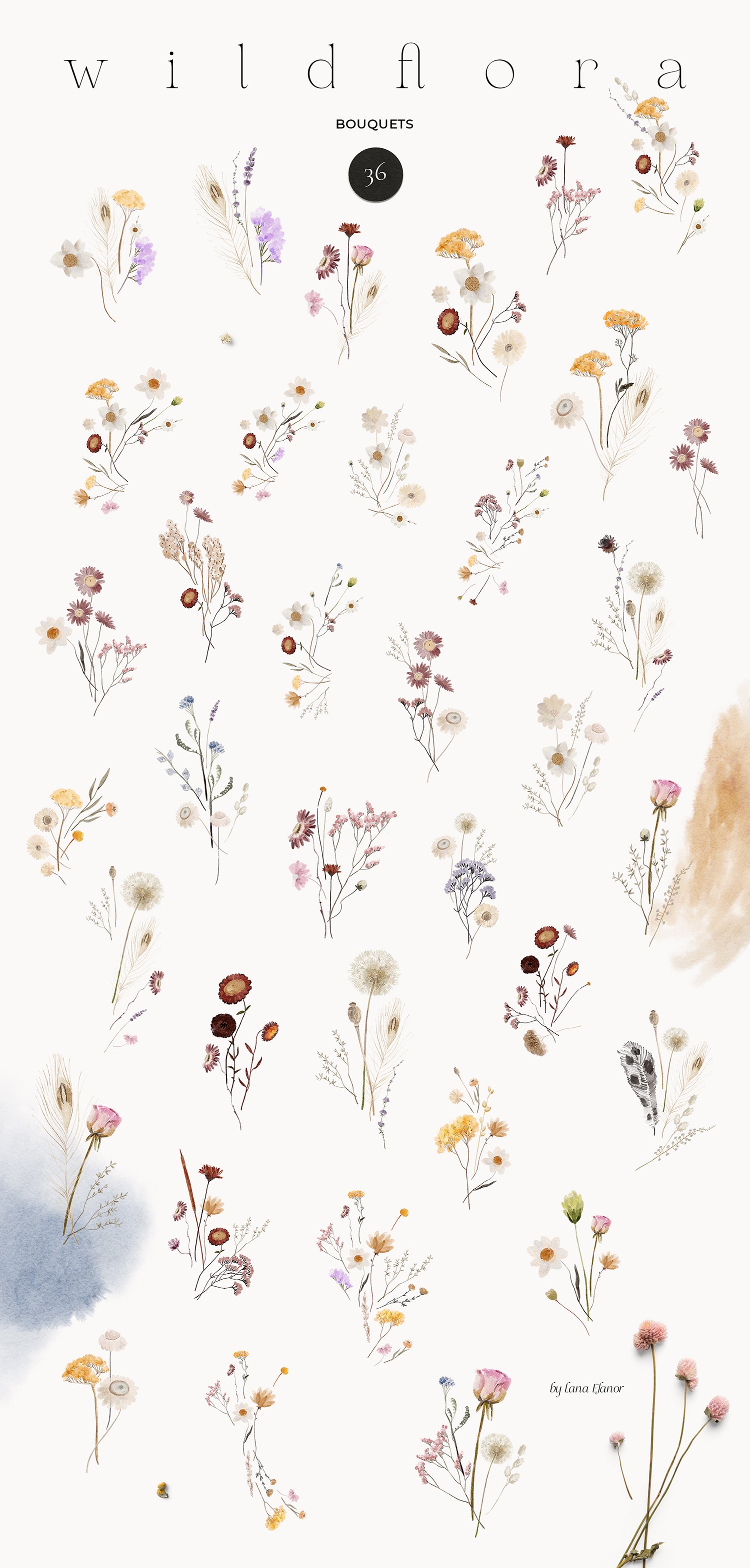 Wildflowers Watercolor Dried Wild Florals - Design Cuts