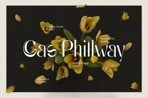 Cas Phillway Display Typeface