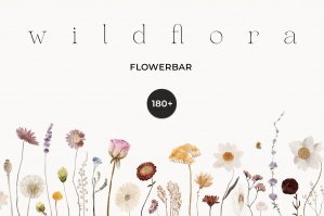 Wildflowers Watercolor Dried Wild Florals