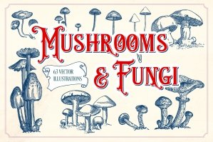 Vintage Mushroom Illustrations