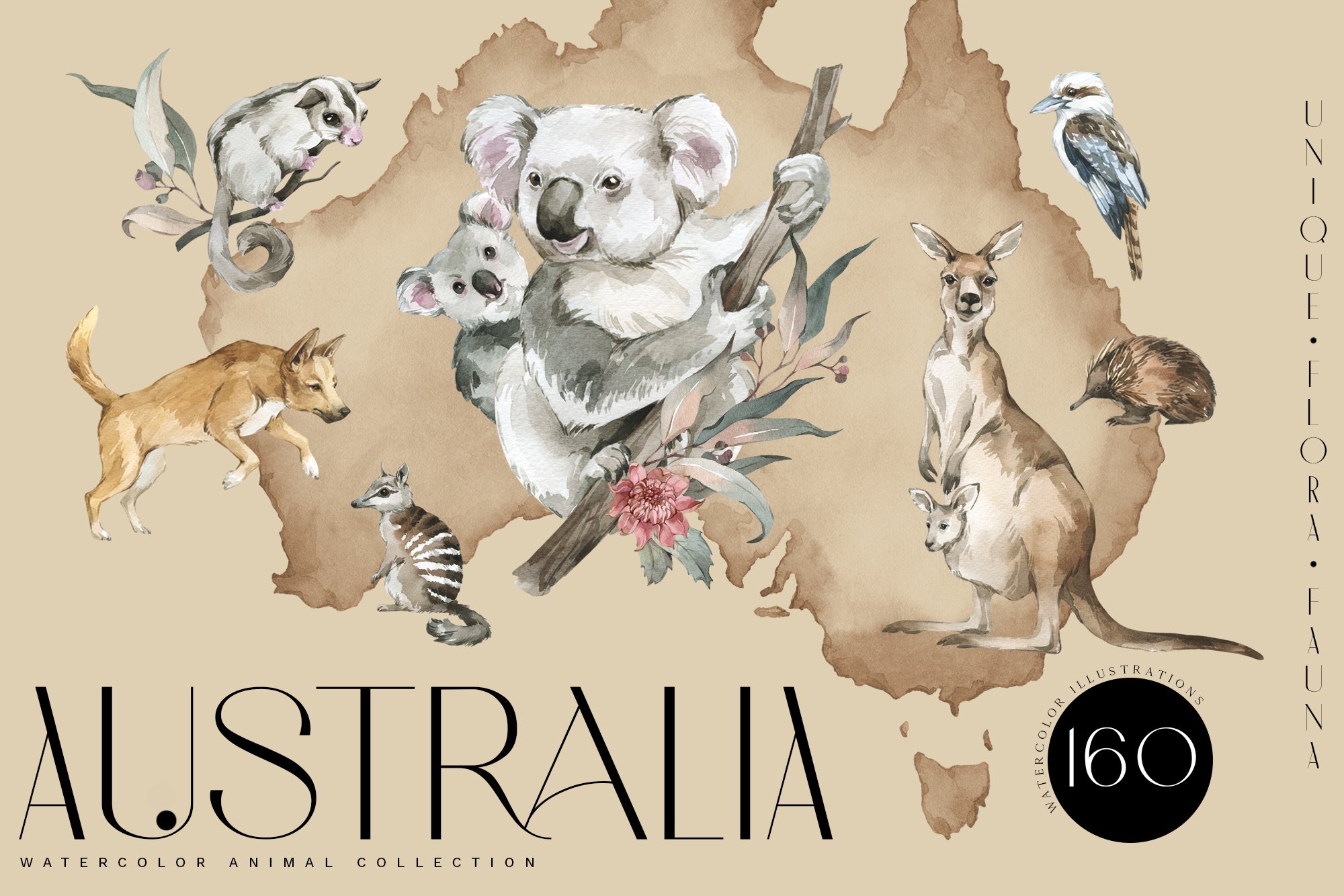 Australia Continent Flora & Fauna Watercolor Collection - Design Cuts