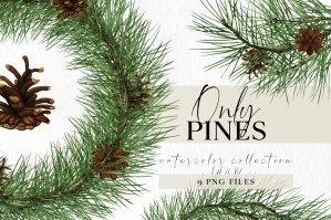 Only Pines - Evergreen Pine Branches Clipart Set