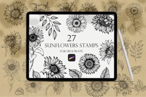 Procreate Sunflowers Outline Stamps Brush
