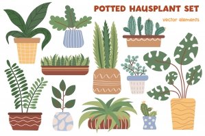 Potted Hauseplant Collection