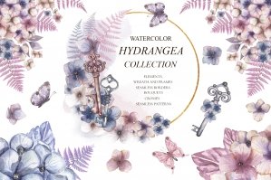 Watercolor Hydrangea Collection