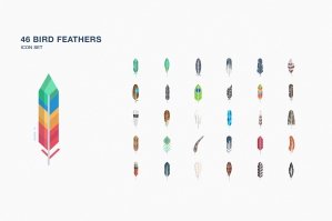 Bird Feather Icon Set