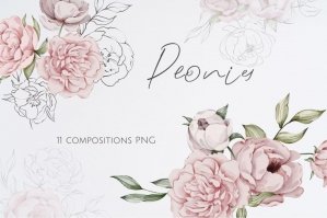 11 Watercolor Peony Bouquets