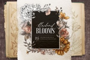 Blackwork Bloom Floral Illustration Kit