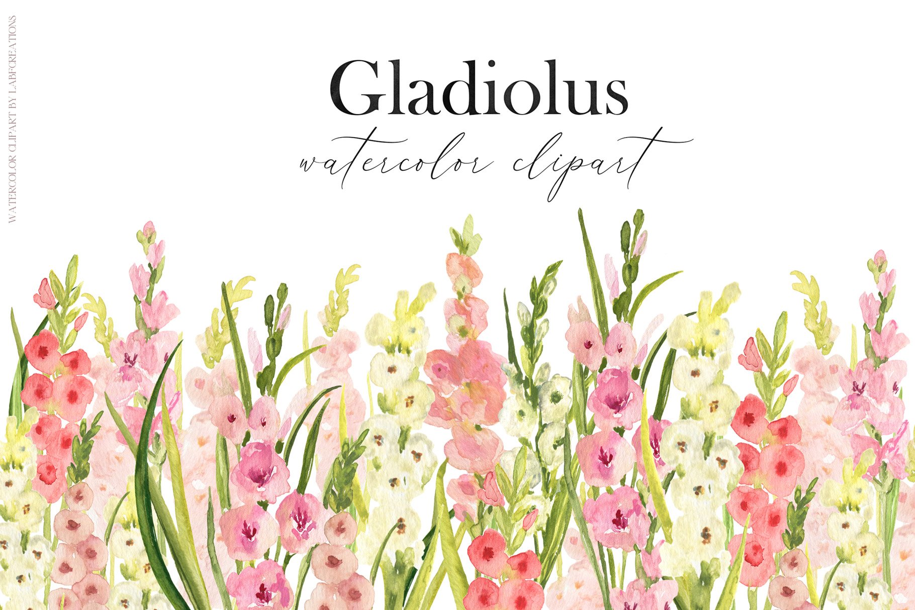 Gladiolus Bouquet Watercolor Clipart, Floral Gladiolus Set, Colorful Flower  Set, Gladiolus Bouquet Frame, Junk Journal, Commercial License - Etsy