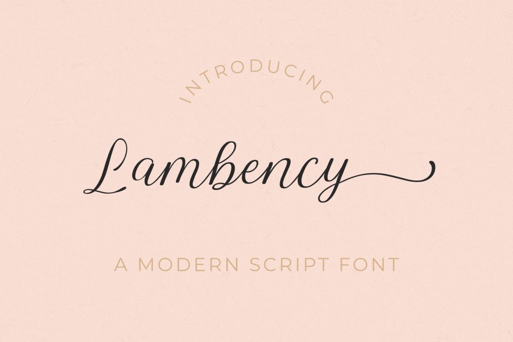 Lambency - A Modern Script Font - Design Cuts