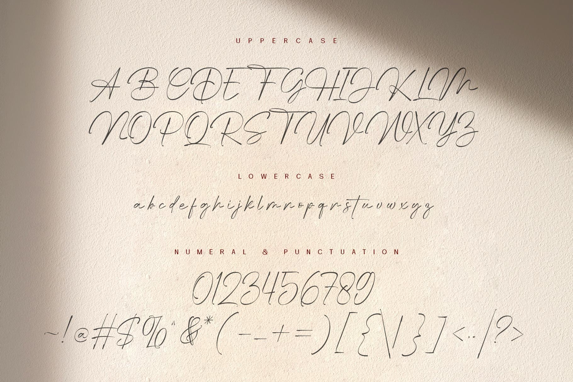 Mrattoos Signature Script Font - Design Cuts