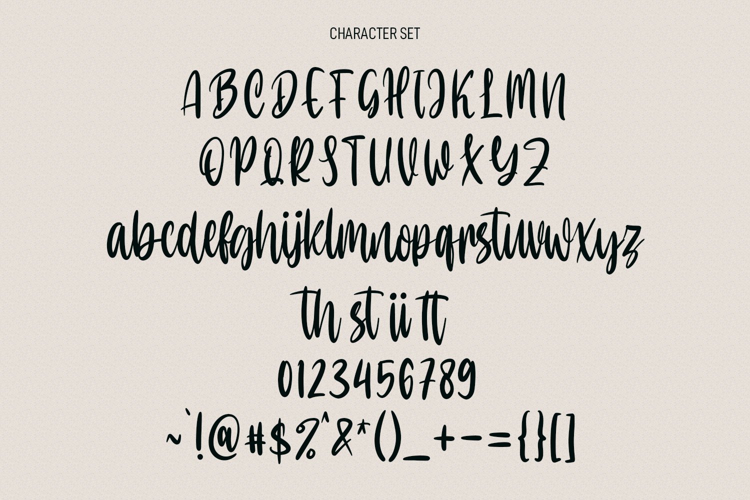 Olla Chester Script Font - Design Cuts