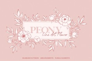 Peony - Line Art Flower