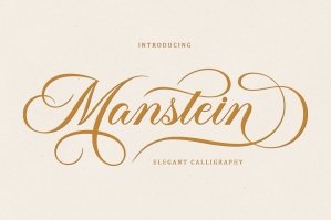 Manstein - Elegant Calligraphy