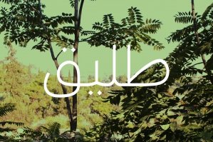 Taleeq - Arabic Typeface