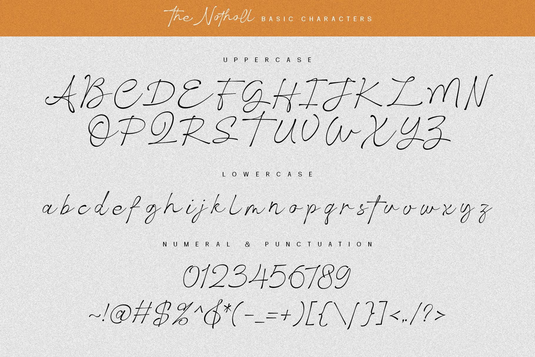 The Notholl Script Font - Design Cuts