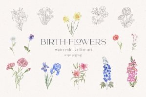 Birth Month Flowers Watercolor & Line Art Plants Wedding Crests