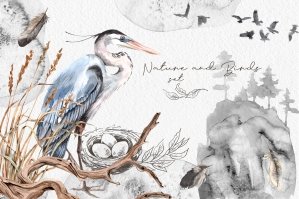 Watercolor Nature And Birds Set