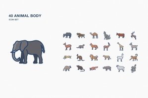 Animal Body Icon Set
