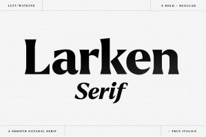 Larken - A Beautiful And Confident Serif