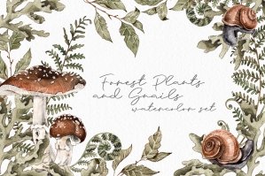 Forest Plants And Snails Watercolor