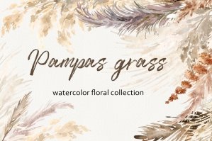 Watercolor Pampas Grass Collection