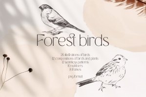 Forest Birds Sketches Collection