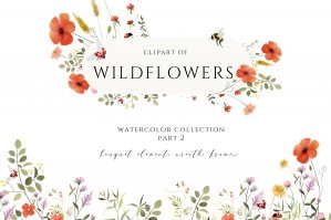 Wildflower Delicate Watercolor Set Garden Field Flowers