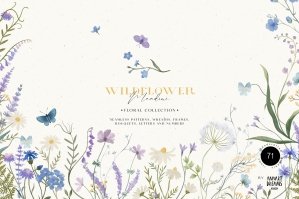 Wildflowers - Watercolor Collection