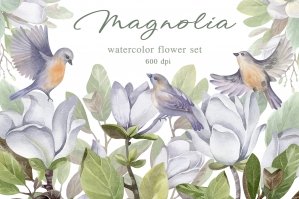 Magnolia Watercolor Flower Clipart