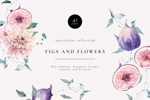 Figs And Flowers Watercolor Set