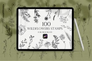 Wildflowers Procreate Stamps